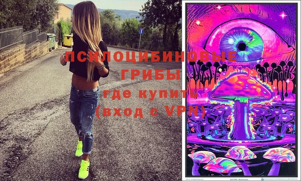дурь Алзамай