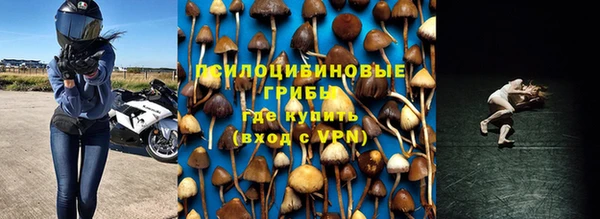 дурь Алзамай