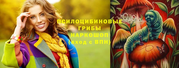 дурь Алзамай