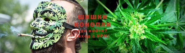 дурь Алзамай
