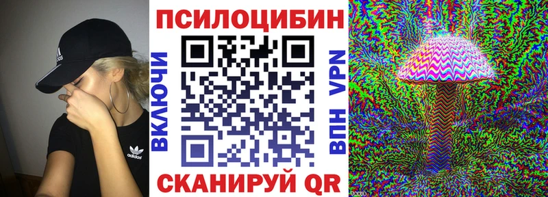 Псилоцибиновые грибы мухоморы  где продают наркотики  Сосновый Бор 